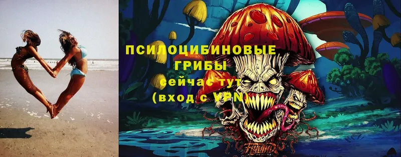 Псилоцибиновые грибы MAGIC MUSHROOMS  купить наркоту  Вельск 